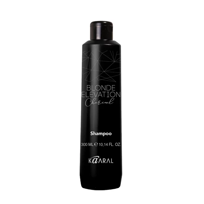 Black Charcoal Tinting Shampoo
