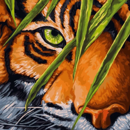 Paint by number "Tiger look"