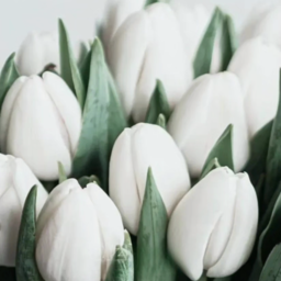 Diamond mosaic "White tulips"
