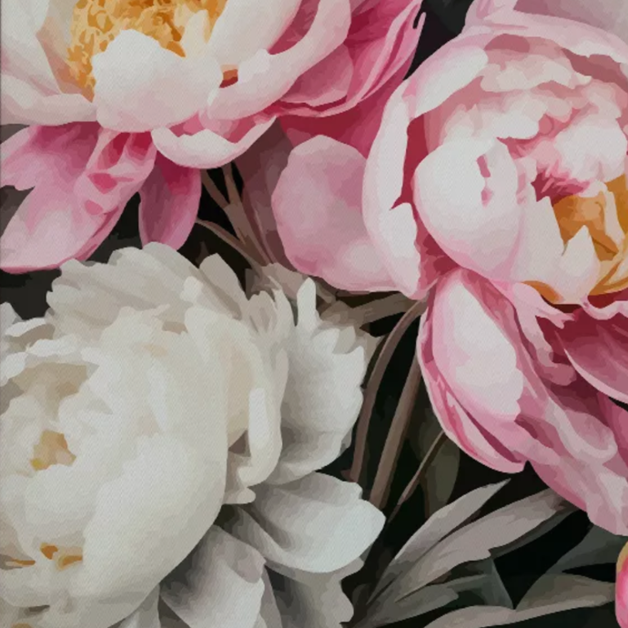 Painting by numbers "Peonies"