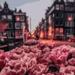 Painting by numbers "Flower city"