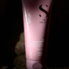Moisture Nutritive Leave-in Conditioner for Dry Hair, 200 ml