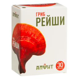 Reishi mushroom