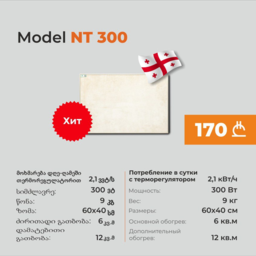 NT300