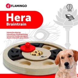 FLAMINGO BrainTrain Hera