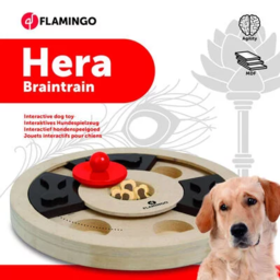 FLAMINGO BrainTrain Hera