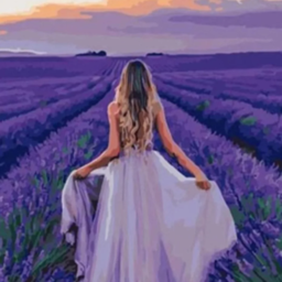 Paint by number "Lavender field"