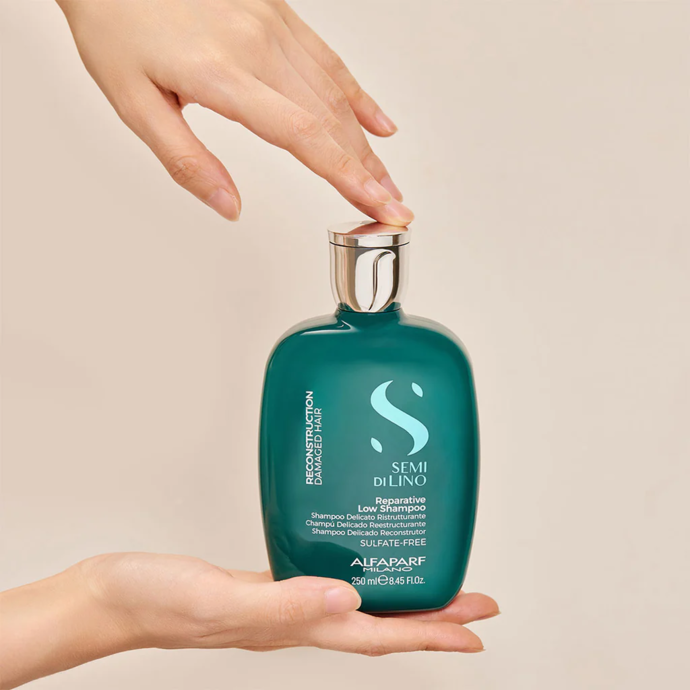 Salusfantic shampoo for damaged hair Reconstructions Reparate from Alfaparf