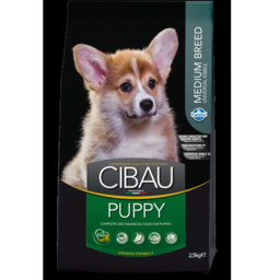 Dry puppy food with chicken