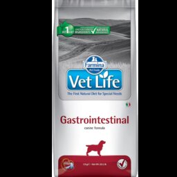 VETLIFE GASTROIINTESTINAL DOG ვეტერინარული საკვები