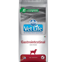VETLIFE GASTROIINTESTINAL DOG ვეტერინარული საკვები