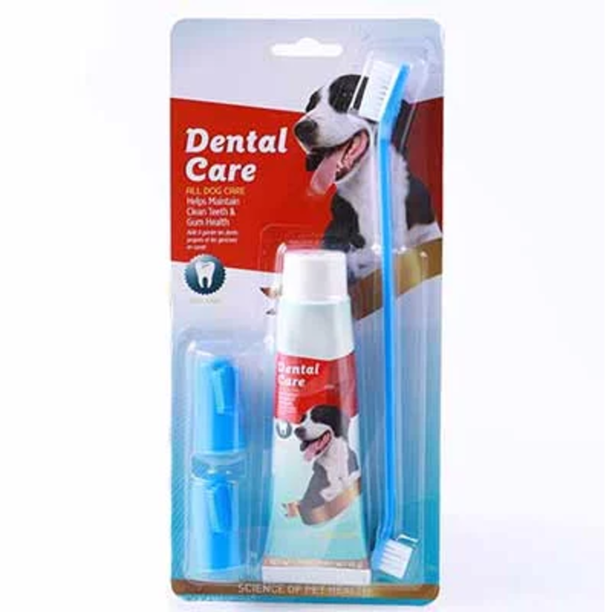 Toothpaste and brush