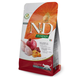 N&DPRIME QNAIL PUMPKIN&PROMEGRANTE
