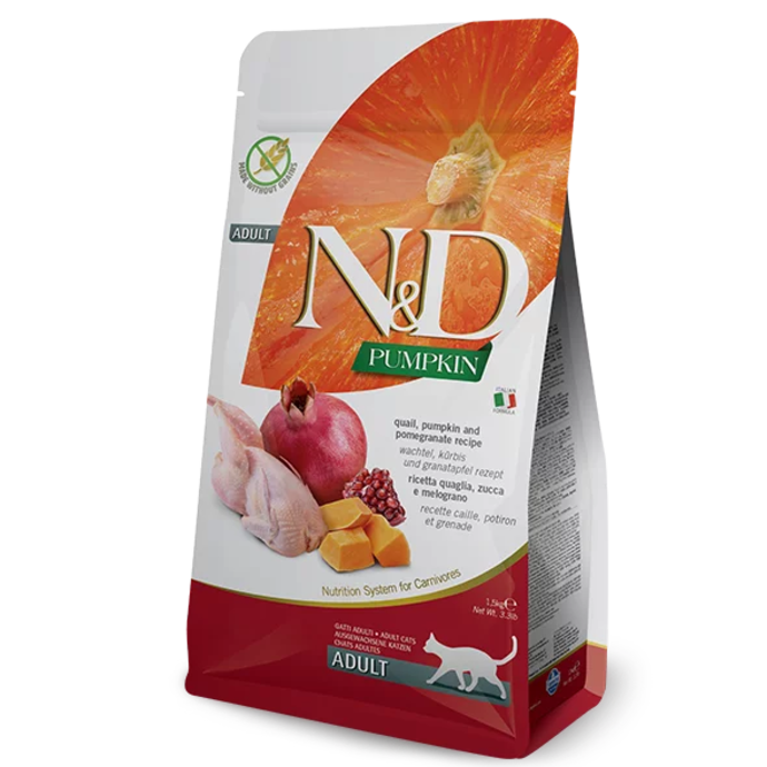 N&DPRIME QNAIL PUMPKIN&PROMEGRANTE