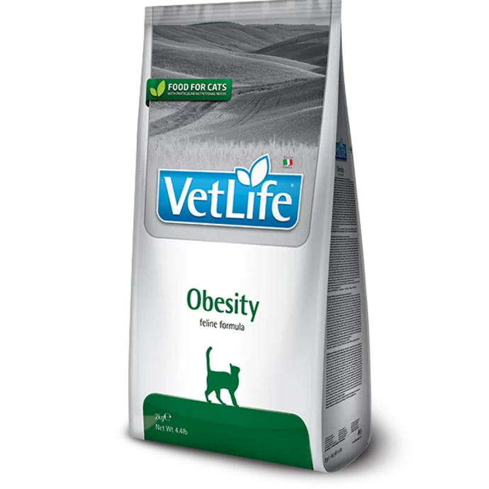 VETLIFE OBESITY CAT